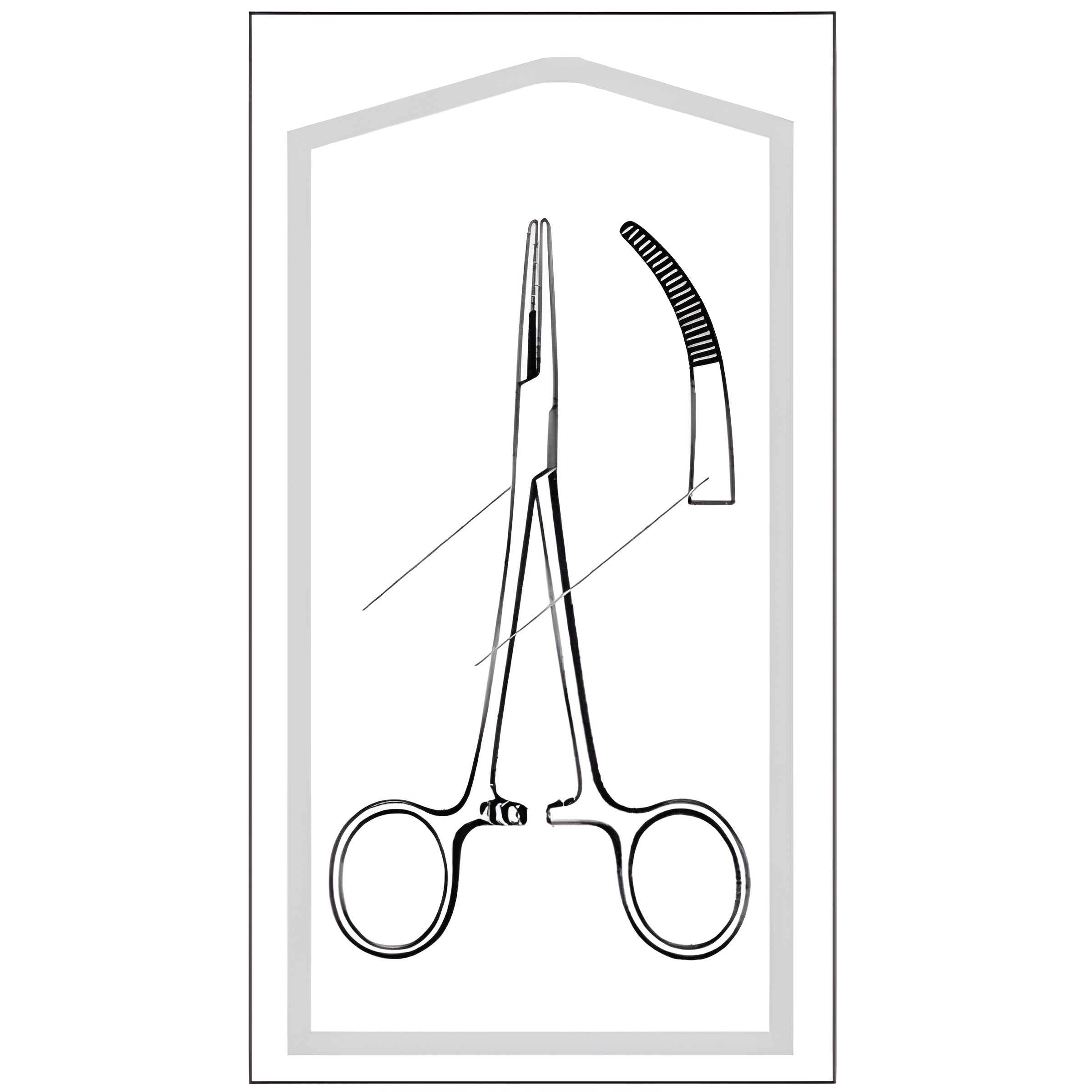 Hemostatic Forceps Econo Sterile Kelly 5-1/2 Inch